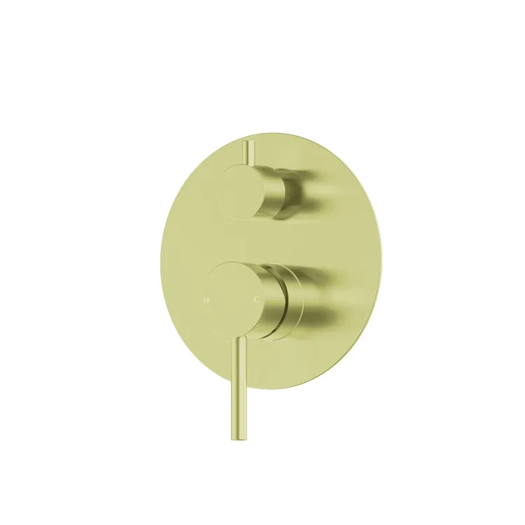 Shower Mixer With Diverter