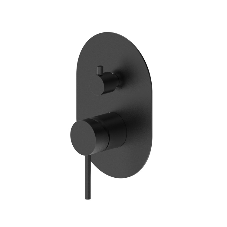 Shower Mixer With Diverter