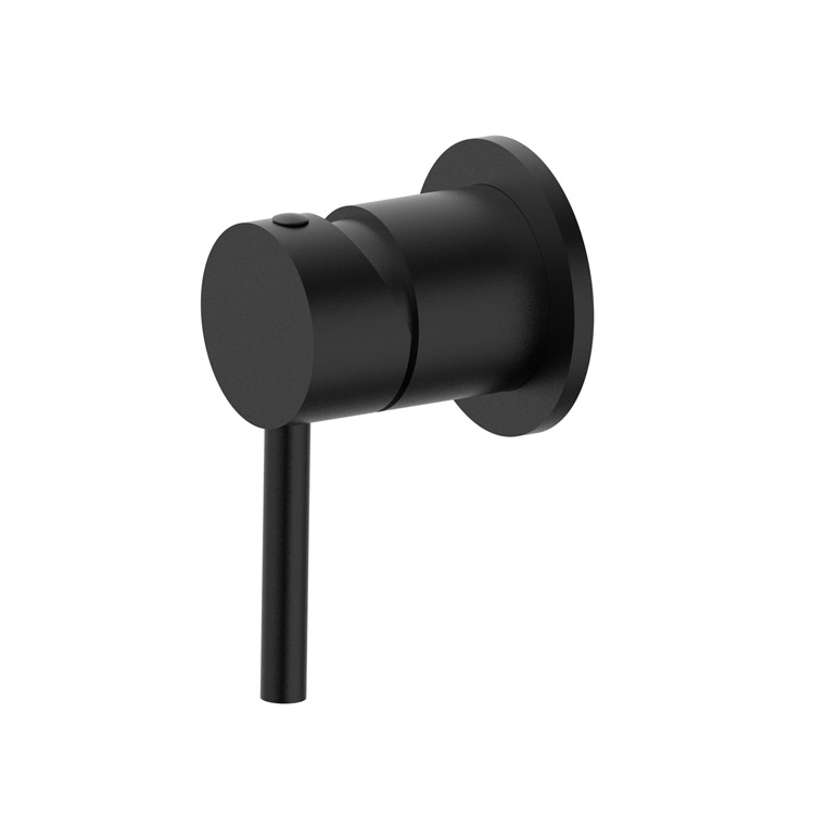 Shower Mixer