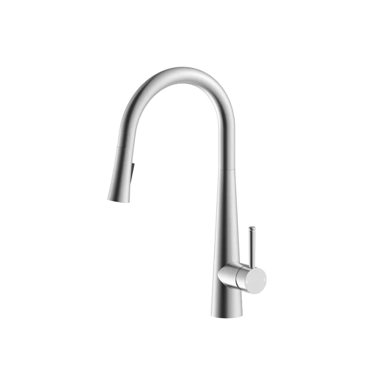 Pull Down Kitchen Faucet