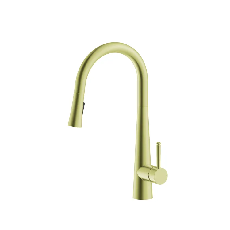 Pull Down Kitchen Faucet