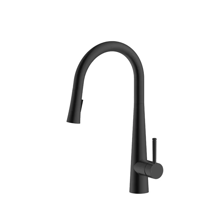 Pull Down Kitchen Faucet