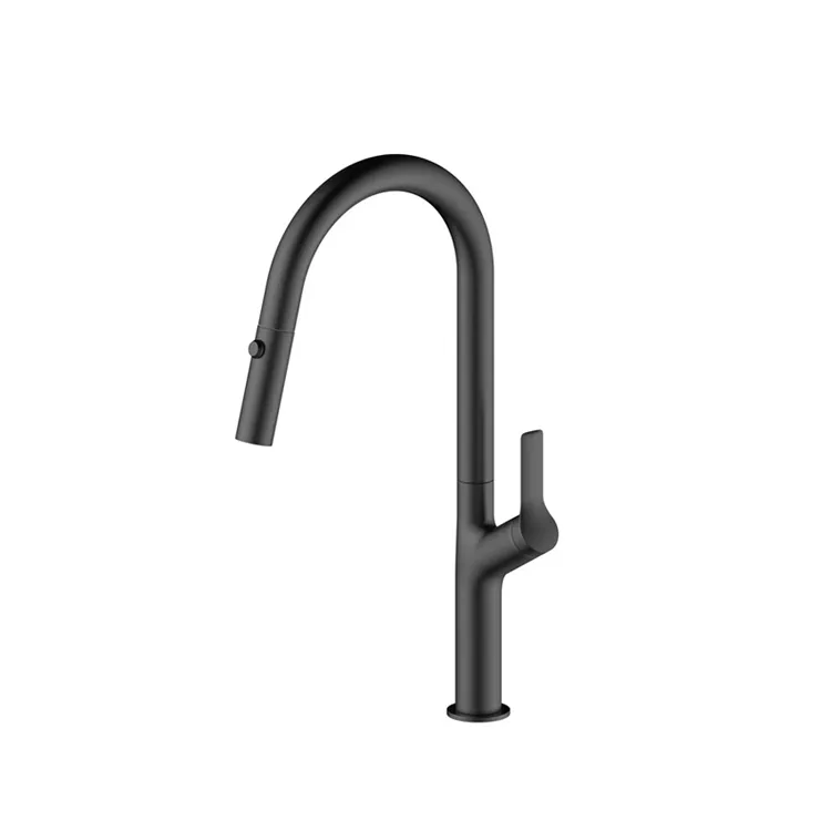 Pull Down Kitchen Faucet