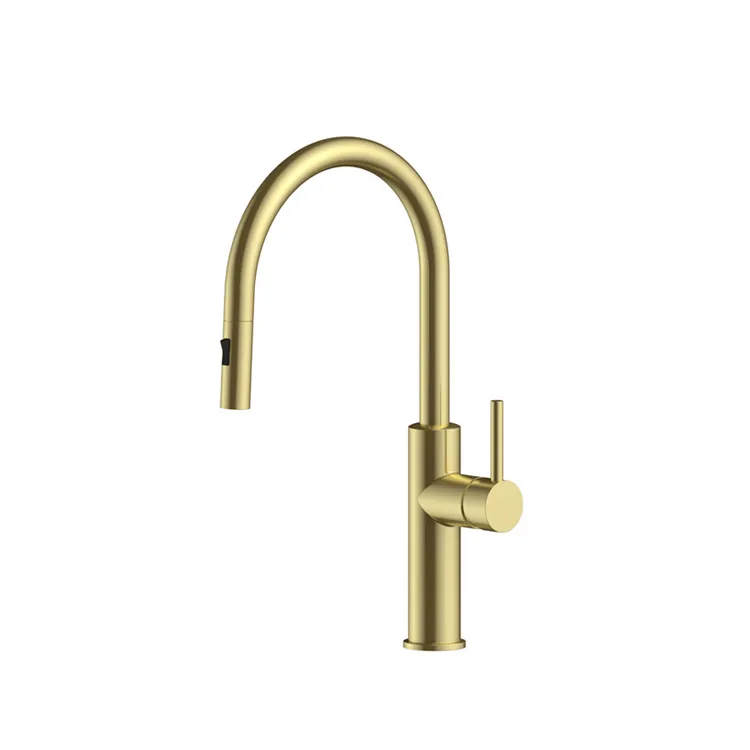 Pull Down Kitchen Faucet