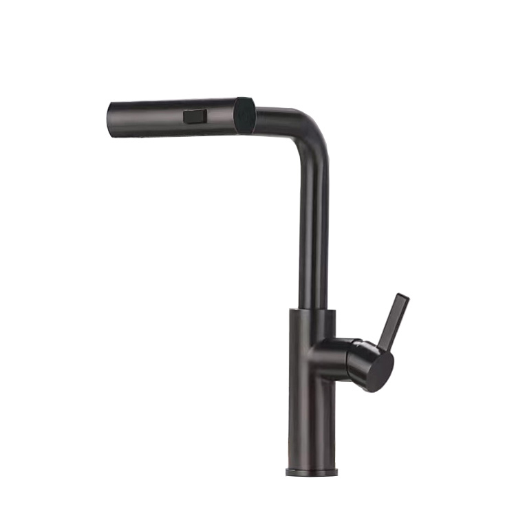 Pull Out Kitchen Faucet