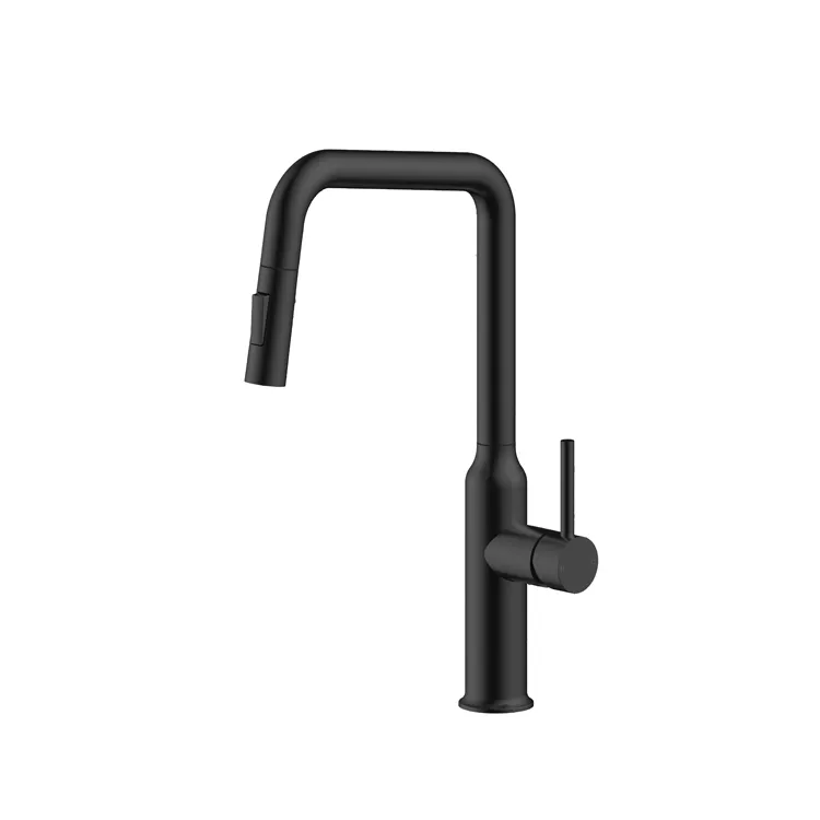 Pull Down Kitchen Faucet