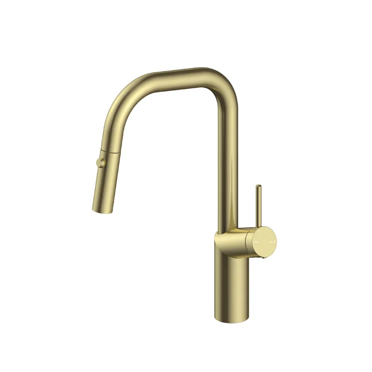 Pull Down Kitchen Faucet