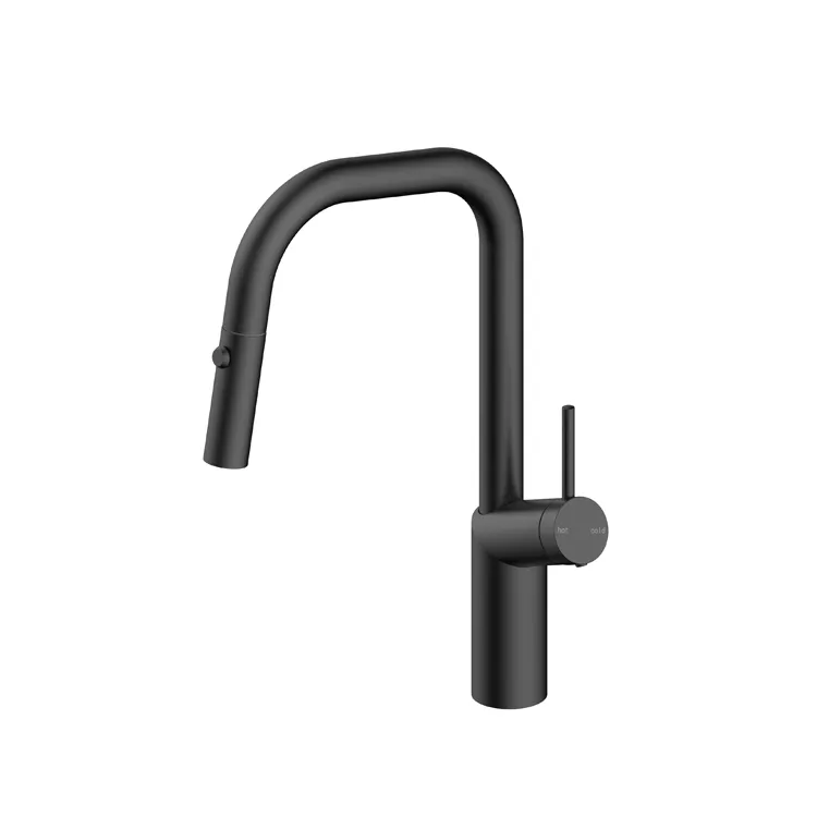 Pull Down Kitchen Faucet