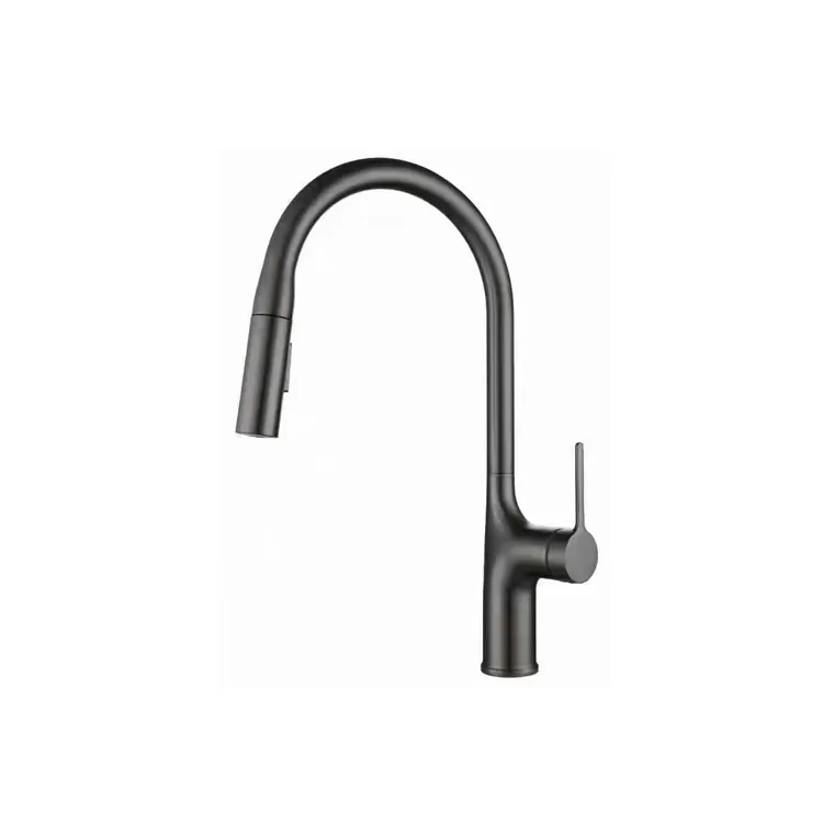 Pull Down Kitchen Faucet
