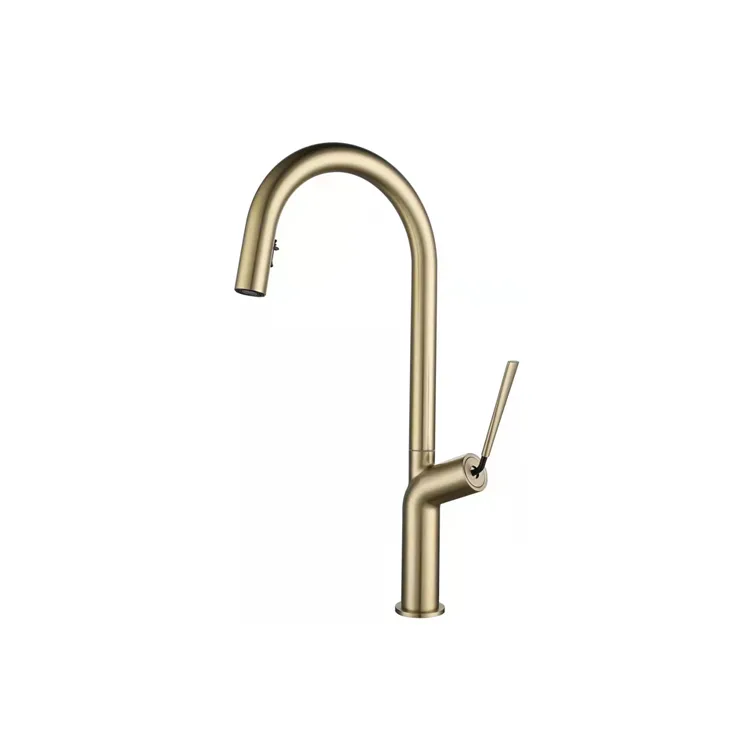 Pull Down Kitchen Faucet