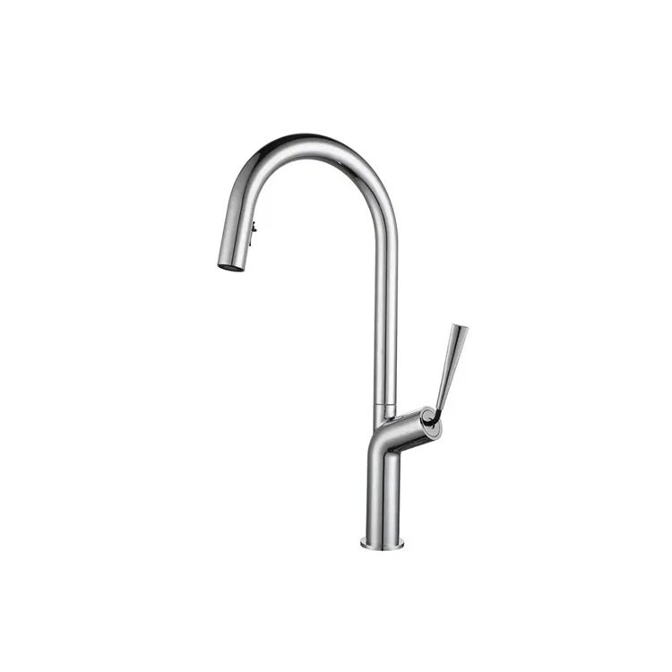 Pull Down Kitchen Faucet