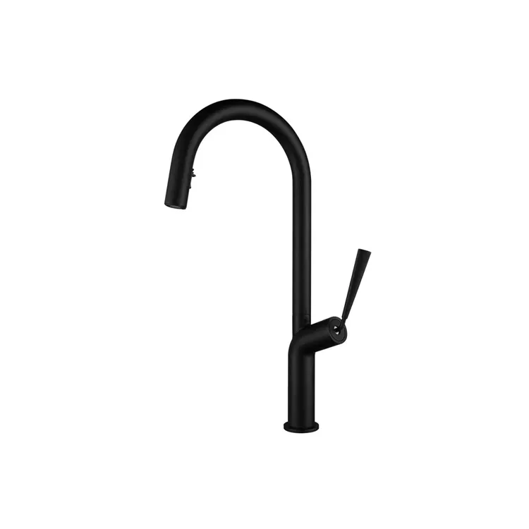 Pull Down Kitchen Faucet