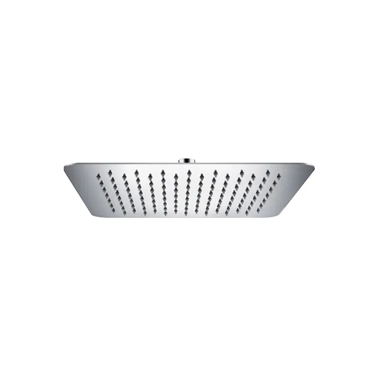 Stainless steel shower head
