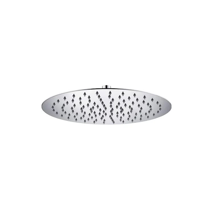 Stainless steel shower head