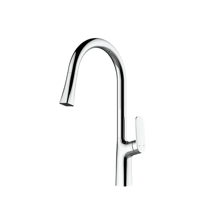 Kitchen Faucet