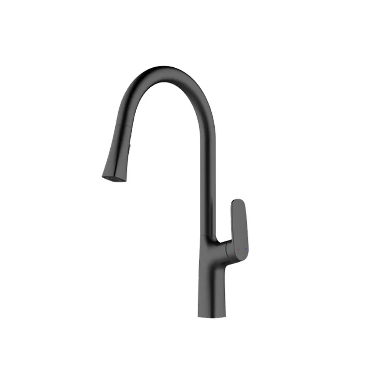 Kitchen Faucet