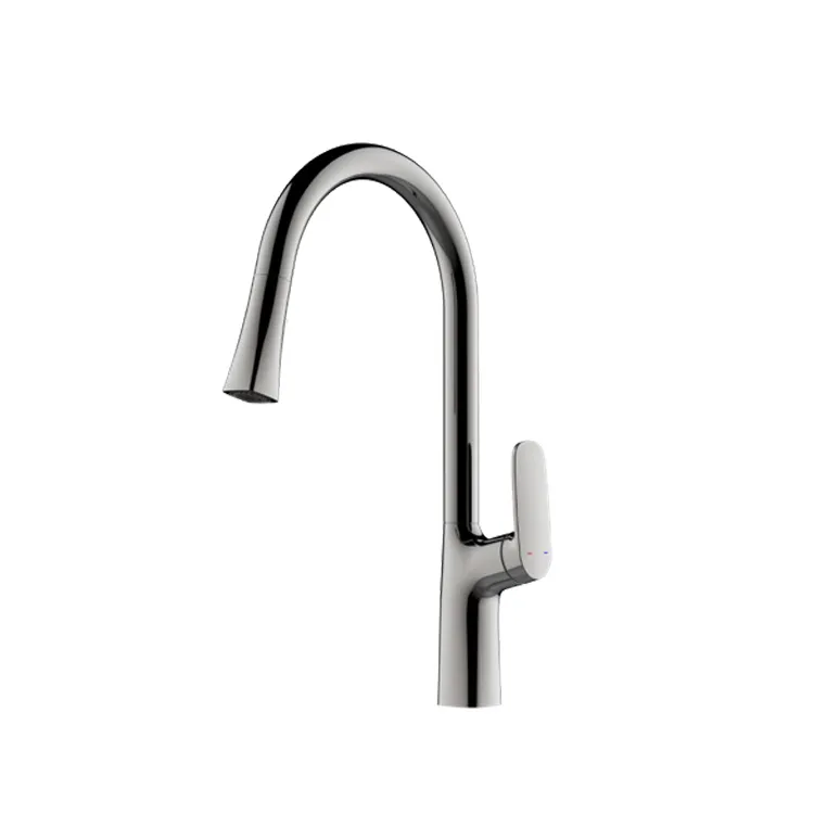 Kitchen Faucet